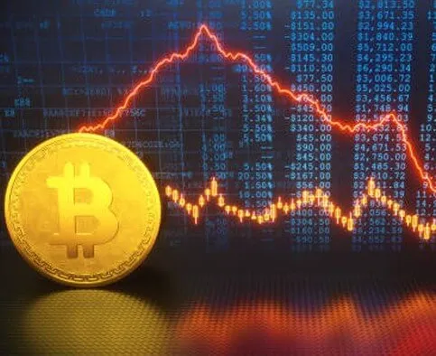 BitQvont - Empower your trading journey with BitQvont.